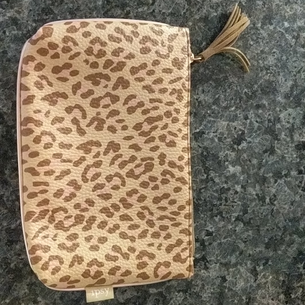 Ipsy Make-up bag
